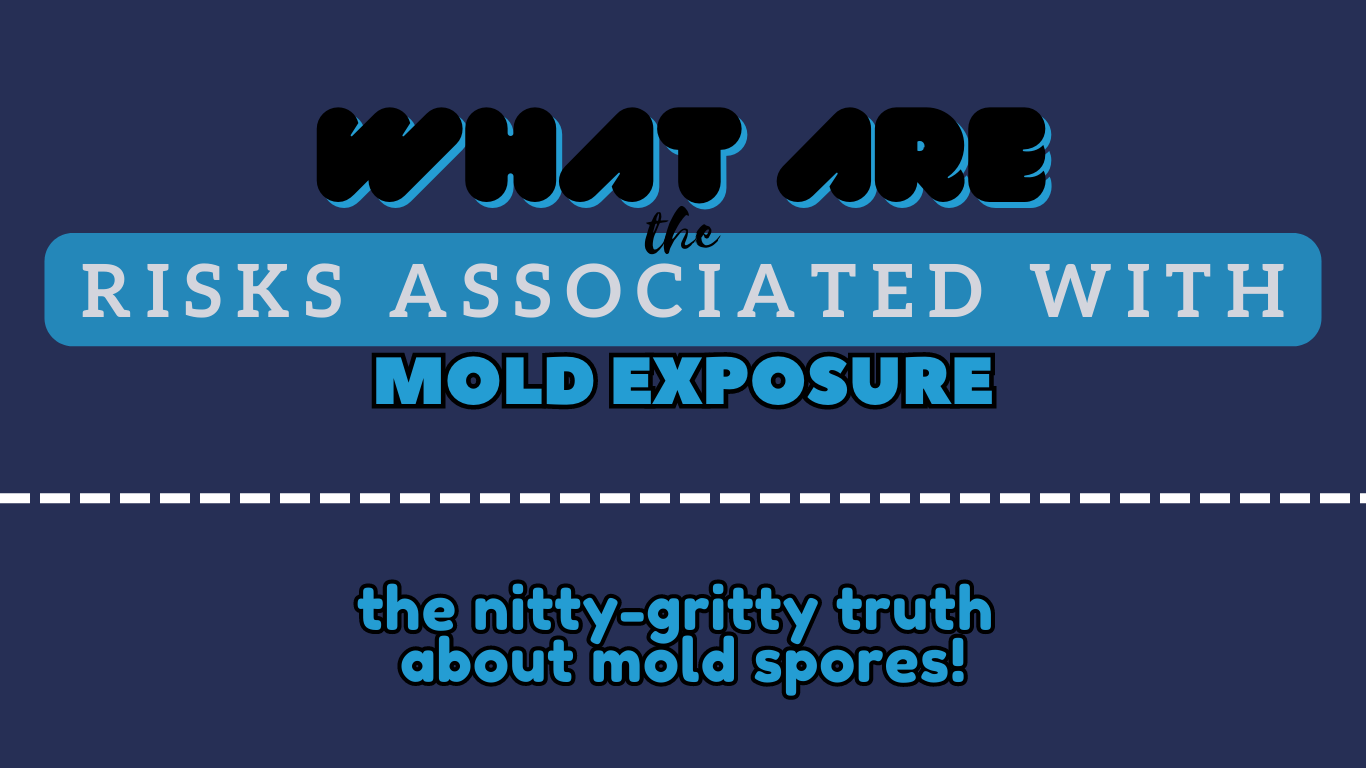 Connection Between Mold Inspection and Indoor Air Quality